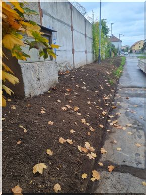 Výkopové práce